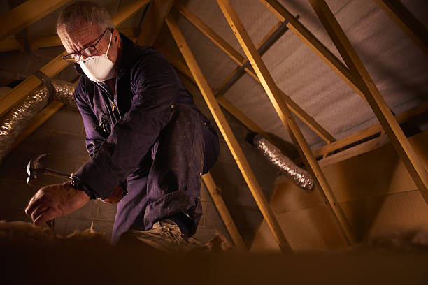 Best Residential Insulation in Mattydale, NY